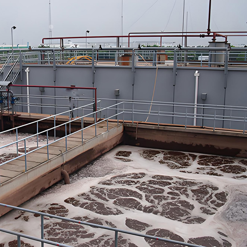 培菌注意事項有哪些？