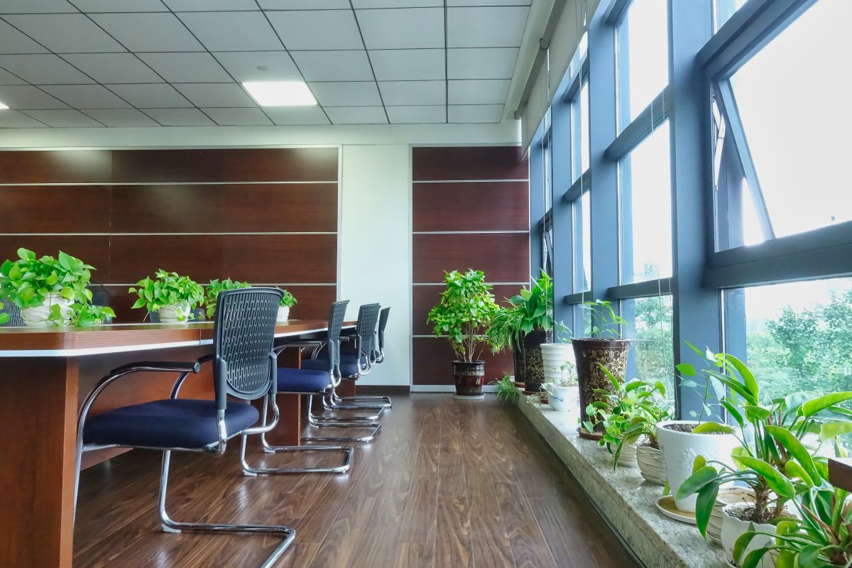 這才叫綠色環(huán)保，四川博水環(huán)保辦公室盛夏綠意